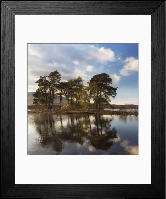 Framed Print : United Kingdom, UK, Scotland, Highlands, Two scots pines at sunset at Loch Tulla