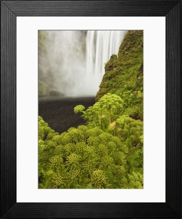 Framed Print : Iceland, South Iceland, Seljalandsfoss waterfalls Framed Print : Iceland, South Iceland, Seljalandsfoss waterfalls