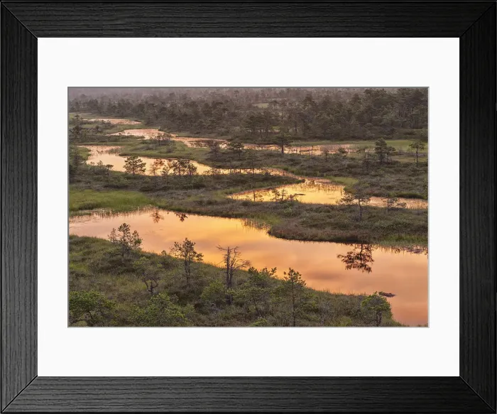 Framed Print : Estonia, Jogeva County, Endla bog is a nature reserve in central estonia