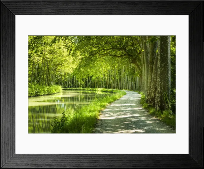 Framed Print : Canal du Midi, near Castelnaudary, Languedoc, France