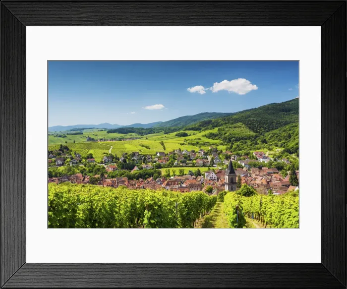 Framed Print : View above Ribeauville, Alsace, France