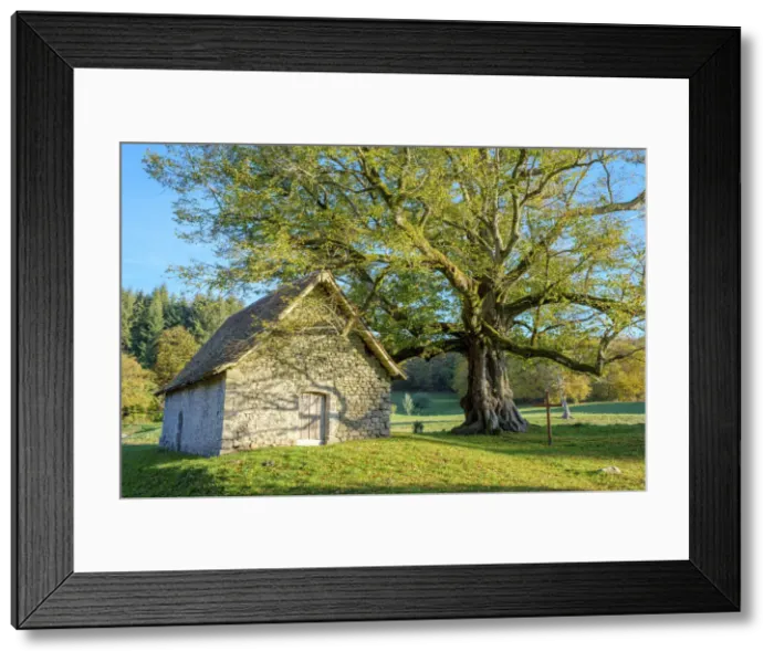 Framed Print : France, Nouvelle-Aquitaine, La Creuse, Saint-Sulpice-le-Dunois. La Chapelle du Mas St Framed Print : France, Nouvelle-Aquitaine, La Creuse, Saint-Sulpice-le-Dunois. La Chapelle du Mas St