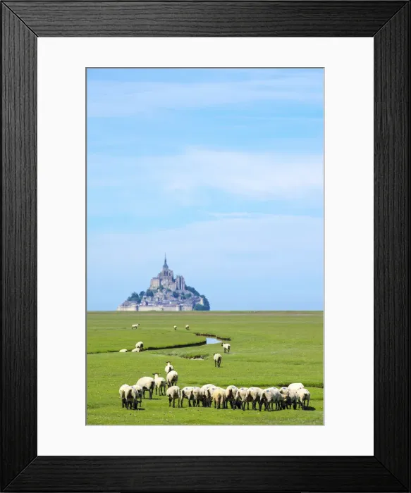 Framed Print : France, Normandy (Normandie), Manche department, sheep grazing in front of Le