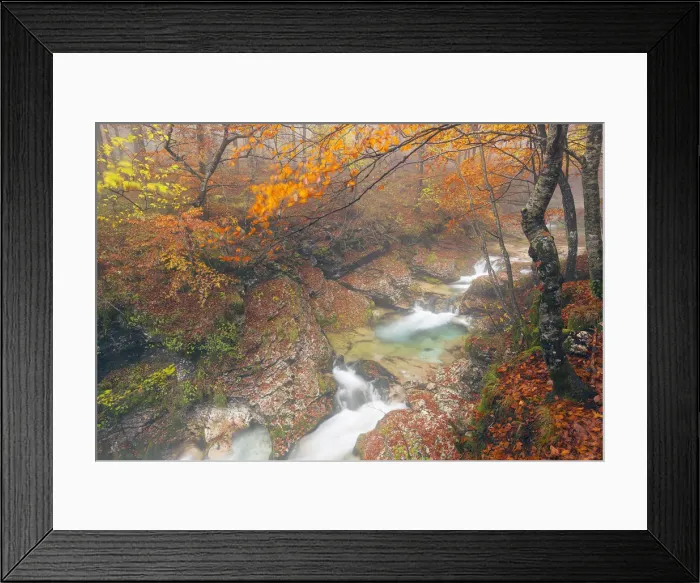 Framed Print : Italy, Friuli Venezia Giulia, Valley Arzino in autumn Framed Print : Italy, Friuli Venezia Giulia, Valley Arzino in autumn