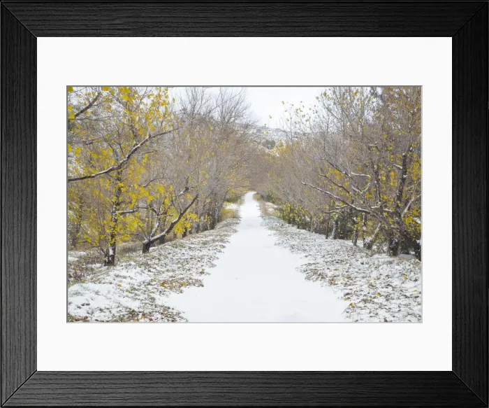 Framed Print : Italy, Sicily, Path leading to Mt. Etna Framed Print : Italy, Sicily, Path leading to Mt. Etna