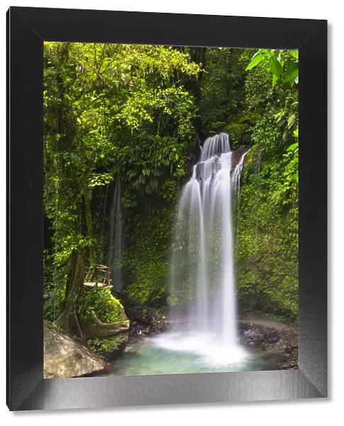 Dominica, Pont Casse. Soluton Falls is a recently opened, privately owned waterfall