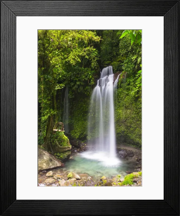 Framed Print : Dominica, Pont Casse. Soluton Falls is a recently opened, privately owned waterfall Framed Print : Dominica, Pont Casse. Soluton Falls is a recently opened, privately owned waterfall