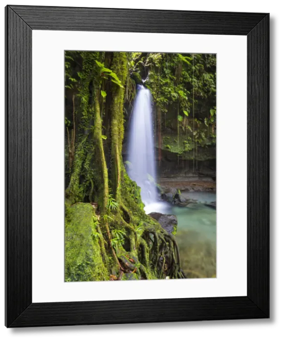 Framed Print : Dominica, Castle Bruce. Emerald Pool, one of the most popular tourist attractions Framed Print : Dominica, Castle Bruce. Emerald Pool, one of the most popular tourist attractions