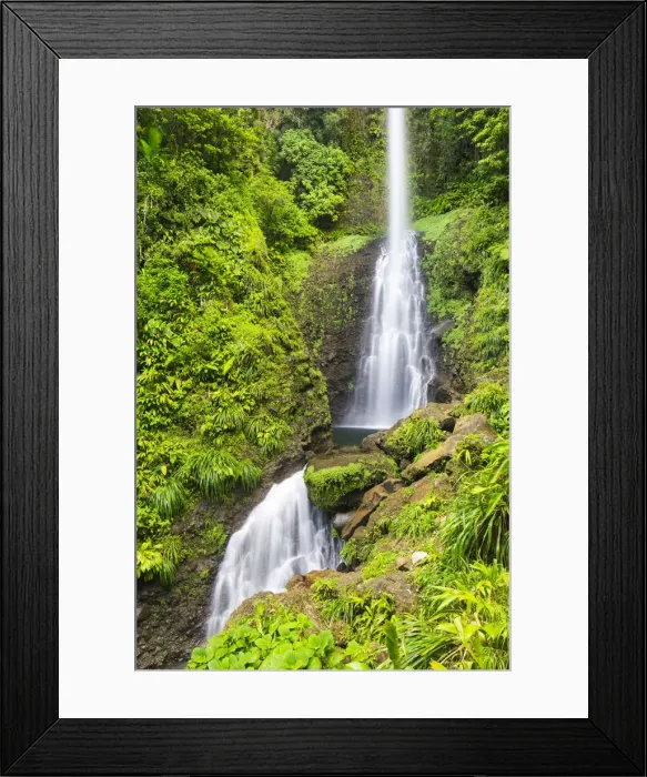 Framed Print : Dominica, Laudat. Middleham Falls is the tallest waterfall in Dominica Framed Print : Dominica, Laudat. Middleham Falls is the tallest waterfall in Dominica