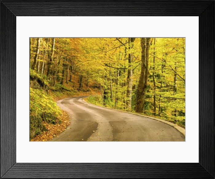 Framed Print : Road in Autumn Forest, Plitvice National Park, Croatia Framed Print : Road in Autumn Forest, Plitvice National Park, Croatia