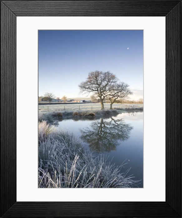 Framed Print : Frosted grass and trees beside a still pond on a winters morning, Morchard Road, Devon