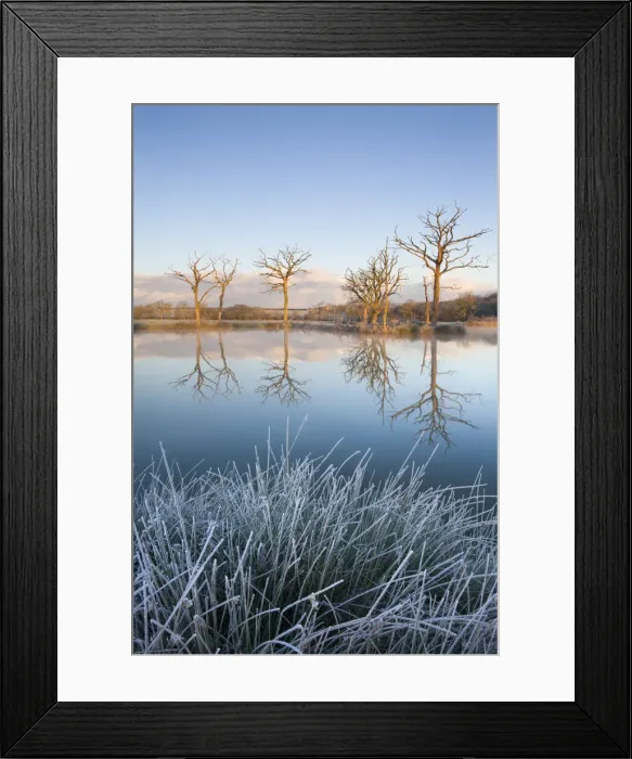 Framed Print : Trees reflected in a mirror still fishing lake on a frosty morning, Morchard Road Framed Print : Trees reflected in a mirror still fishing lake on a frosty morning, Morchard Road