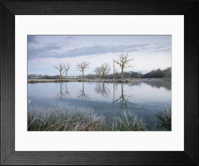 Framed Print : Frosty winter scenes beside a still lake, Morchard Road, Devon, England. Winter Framed Print : Frosty winter scenes beside a still lake, Morchard Road, Devon, England. Winter