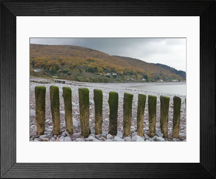 Framed Print : Wooden groynes on Porlock Beach, looking towards Worthy Wood above Porlock Weir, Exmoor Framed Print : Wooden groynes on Porlock Beach, looking towards Worthy Wood above Porlock Weir, Exmoor