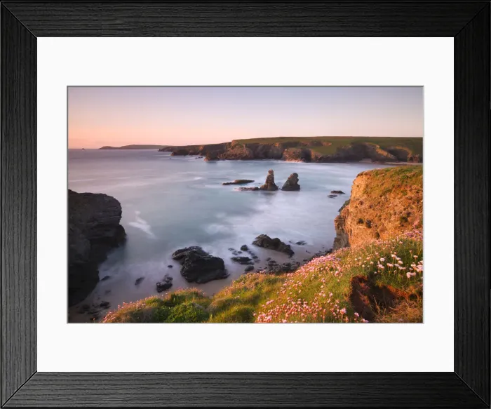 Framed Print : Flowering thrift on the clifftops above Porthcothan Bay, looking towards Trevose Head Framed Print : Flowering thrift on the clifftops above Porthcothan Bay, looking towards Trevose Head