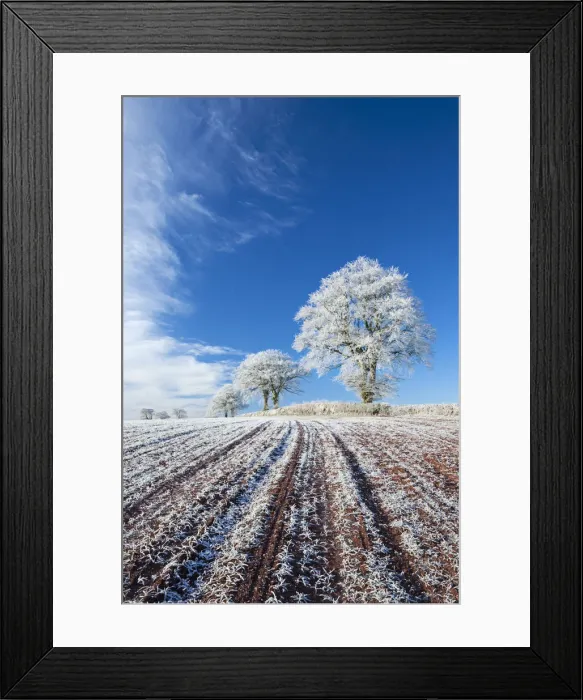 Framed Print : Hoar frosted farmland and trees in winter time, Bow, Mid Devon, England. Winter