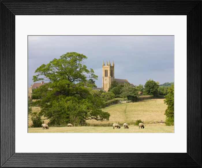 Framed Print : Sheep grazing in fields below St Michaels Church in the Cotswolds village of Broadway Framed Print : Sheep grazing in fields below St Michaels Church in the Cotswolds village of Broadway