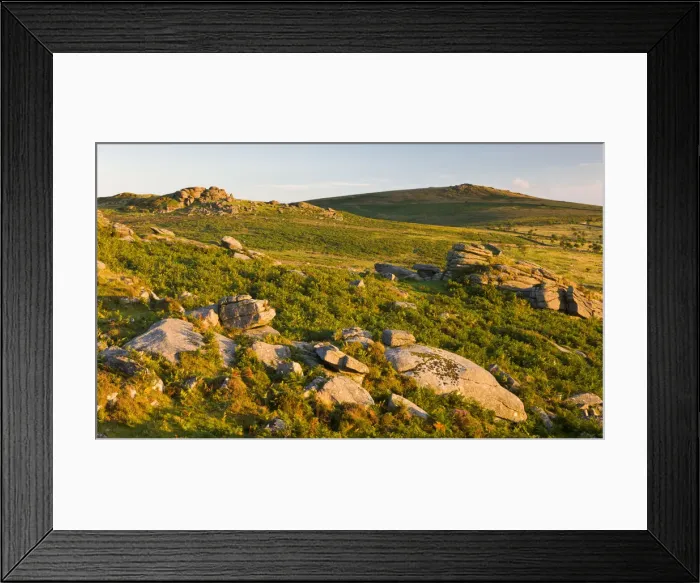 Framed Print : Gorgeous low evening sunshine lights up the rocky moorland leading to Saddle Tor Framed Print : Gorgeous low evening sunshine lights up the rocky moorland leading to Saddle Tor