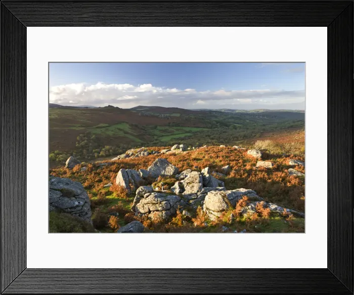 Framed Print : Moorland in Autumn, Dartmoor National Park, Devon, England. Autumn Framed Print : Moorland in Autumn, Dartmoor National Park, Devon, England. Autumn