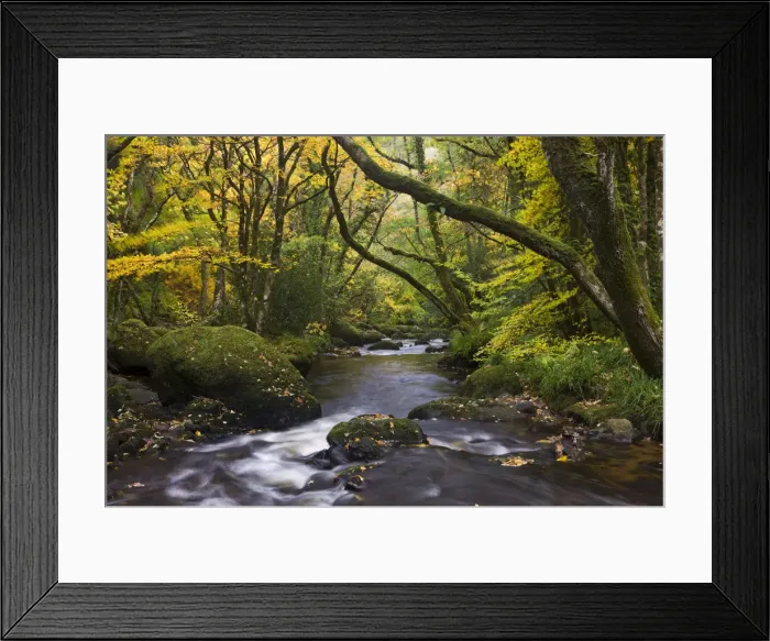Framed Print : River Teign flowing through deciduous woodland, Dartmoor, Devon, England. Autumn Framed Print : River Teign flowing through deciduous woodland, Dartmoor, Devon, England. Autumn