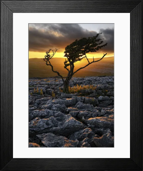 Framed Print : Europe, England, North Yorkshire, Ingleton, Twistleton Scars