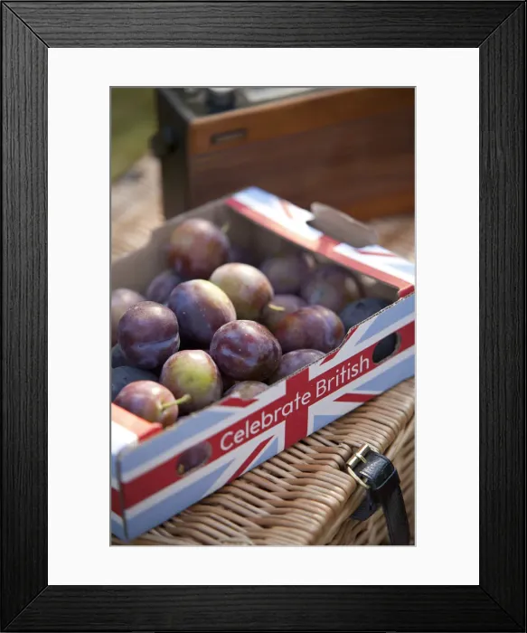 Framed Print : Nottinghamshire, UK. Box of British fruit at a late summer family picnic. (MR) Framed Print : Nottinghamshire, UK. Box of British fruit at a late summer family picnic. (MR)