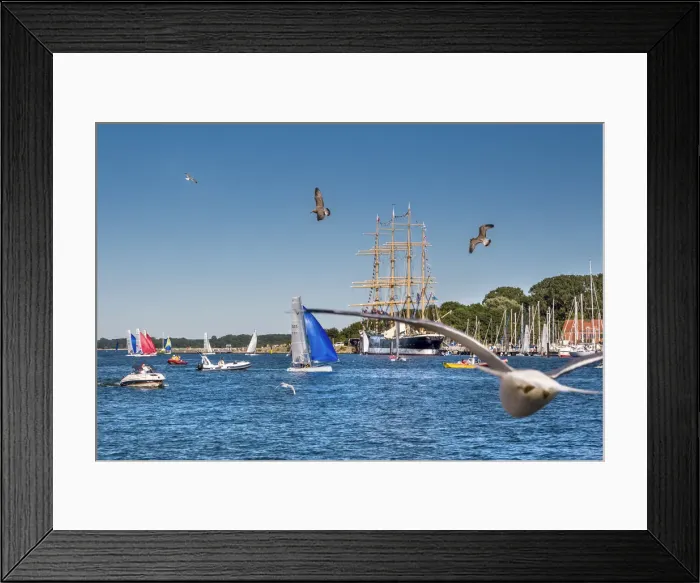 Framed Print : Sailing ship Passat on river Trave, TravemAonde, LAobeck, Baltic coast, Schleswig-Holstein Framed Print : Sailing ship Passat on river Trave, TravemAonde, LAobeck, Baltic coast, Schleswig-Holstein