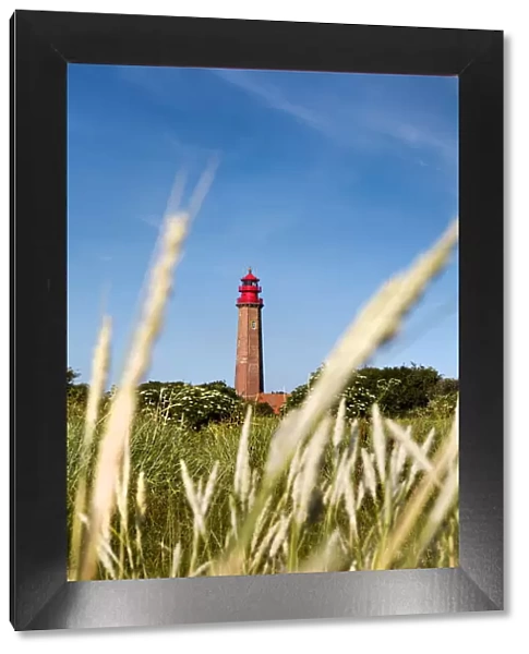 Lighthouse, Flügge, Fehmarn island, Baltic coast, Schleswig-Holstein, Germany