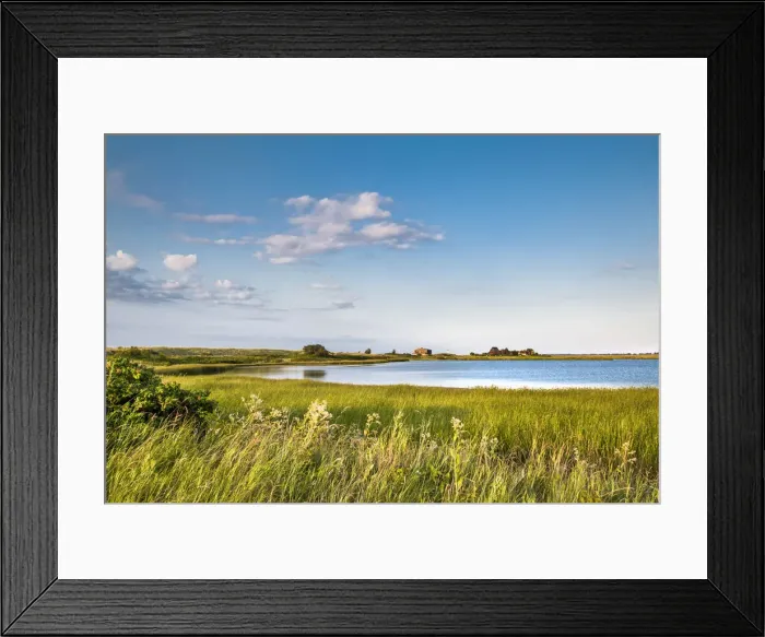 Framed Print : Nature reserve, Graswarder, Heiligenhafen, Baltic coast, Schleswig-Holstein, Germany Framed Print : Nature reserve, Graswarder, Heiligenhafen, Baltic coast, Schleswig-Holstein, Germany