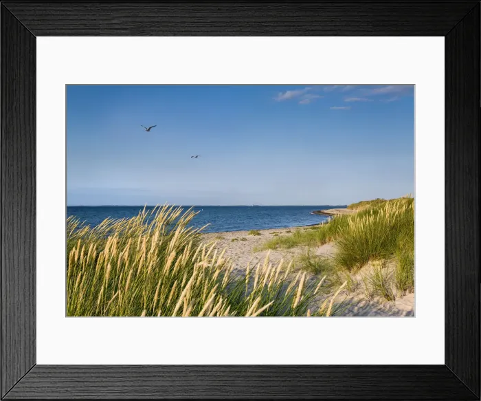 Framed Print : Beach and dunes, Heiligenhafen, Baltic coast, Schleswig-Holstein, Germany Framed Print : Beach and dunes, Heiligenhafen, Baltic coast, Schleswig-Holstein, Germany