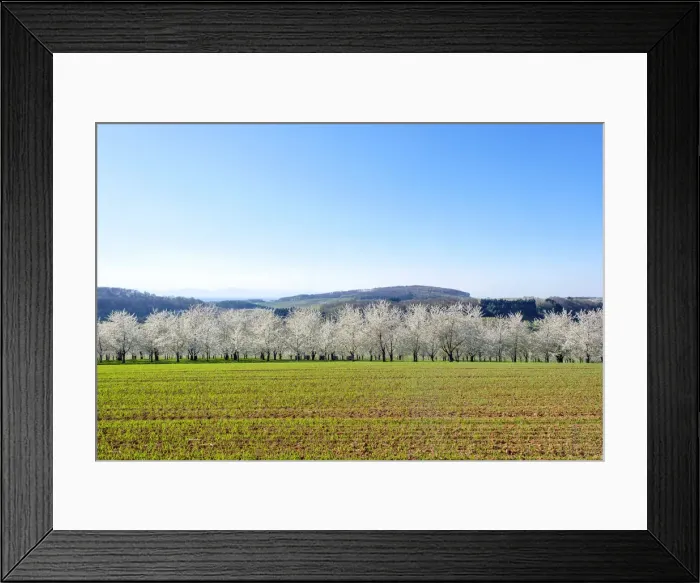 Framed Print : Germany, Baden-Württemberg, Schliengen Framed Print : Germany, Baden-Württemberg, Schliengen