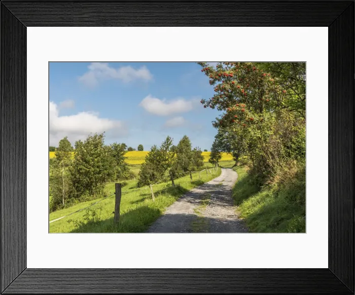 Framed Print : europe, Germany, Saxony. Walking path in saxon Framed Print : europe, Germany, Saxony. Walking path in saxon