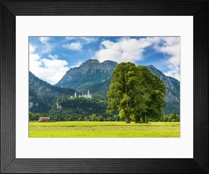 Framed Print : Neuschwanstein Castle or Schloss Neuschwanstein, Schwangau, Bavaria, Germany Framed Print : Neuschwanstein Castle or Schloss Neuschwanstein, Schwangau, Bavaria, Germany