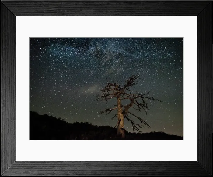 Framed Print : Italy, Sicily, Mt. Etna, The skeleton of black pine trees in a summer night. Etna Nord Framed Print : Italy, Sicily, Mt. Etna, The skeleton of black pine trees in a summer night. Etna Nord