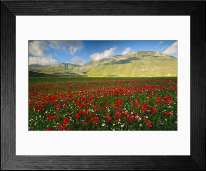 Framed Print : Italy, Marche, Sibillini National Park, plain of Castelluccio di Norcia Framed Print : Italy, Marche, Sibillini National Park, plain of Castelluccio di Norcia