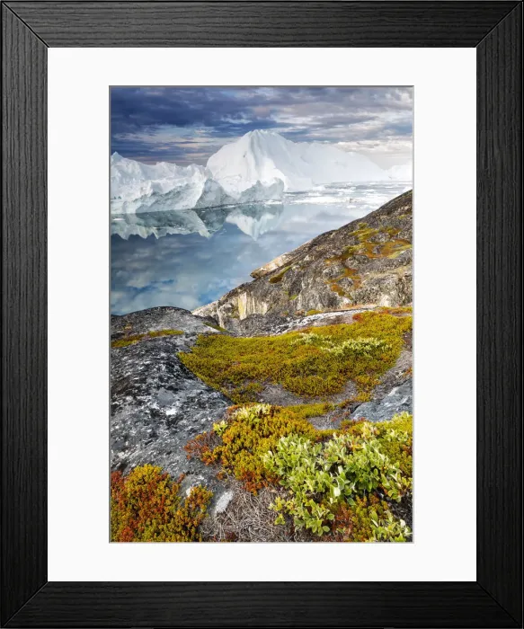 Framed Print : Greenland, DiskoBay, Morning light on icebergs of Kangerlua Fjord at dawn; in foreground Framed Print : Greenland, DiskoBay, Morning light on icebergs of Kangerlua Fjord at dawn; in foreground