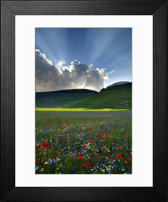 Framed Print : Italy, Marche, Sibillini National Park, Pian Grande Framed Print : Italy, Marche, Sibillini National Park, Pian Grande