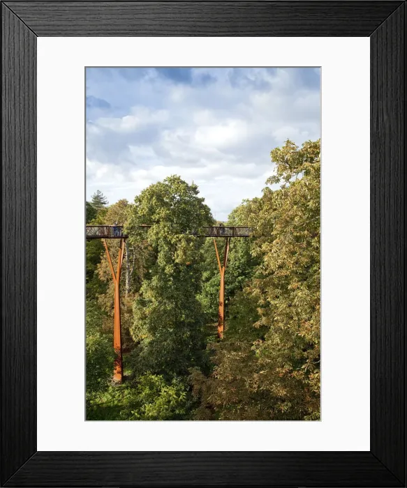 Framed Print : Europe, United Kingdom, England, London, Kew, Royal Botanic Gardens, the canopy walkway Framed Print : Europe, United Kingdom, England, London, Kew, Royal Botanic Gardens, the canopy walkway