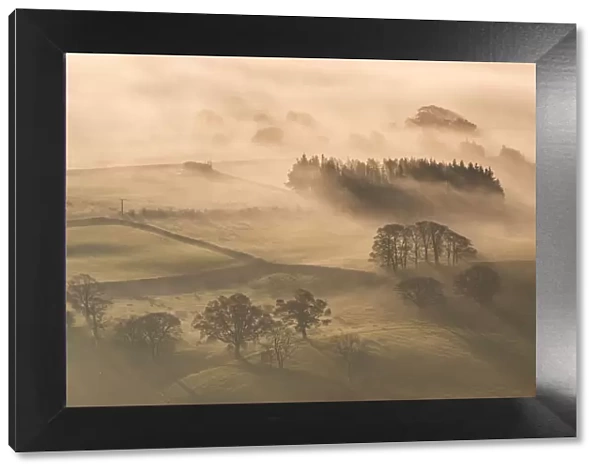 Mist covered rolling countryside at dawn, Lake District, Cumbria, England. Autumn