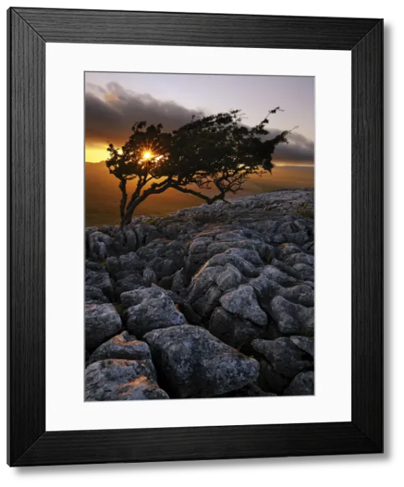 Framed Print : Europe, England, North Yorkshire, Ingleton, Twistleton Scars Framed Print : Europe, England, North Yorkshire, Ingleton, Twistleton Scars