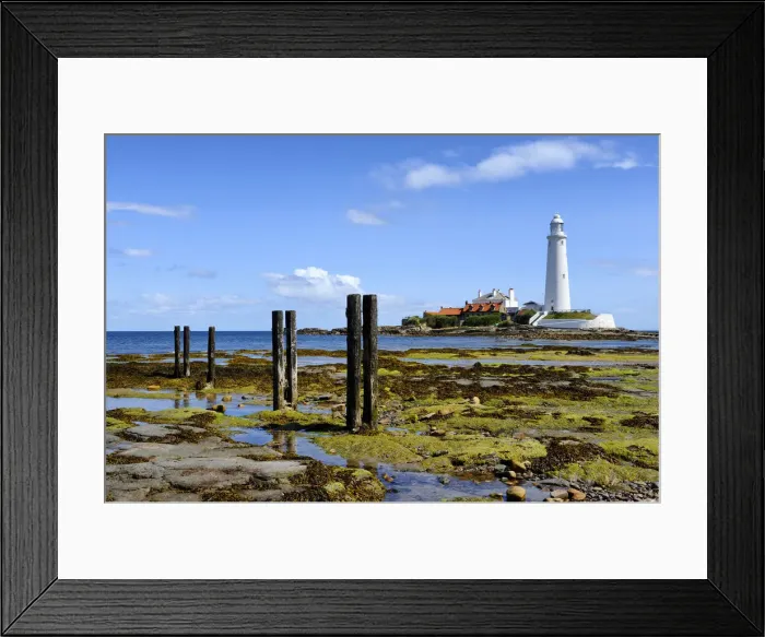 Framed Print : Europe, England, Tyne and Wear, St Marys Lighthouse Framed Print : Europe, England, Tyne and Wear, St Marys Lighthouse