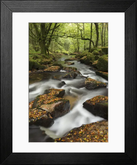 Framed Print : River Fowey tumbling through rocks at Golitha Falls, Cornwall, England Framed Print : River Fowey tumbling through rocks at Golitha Falls, Cornwall, England