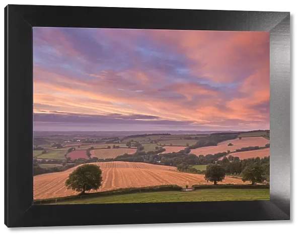 Spectacular sunset above rolling Devon countryside, Stockleigh Pomeroy, Devon, England