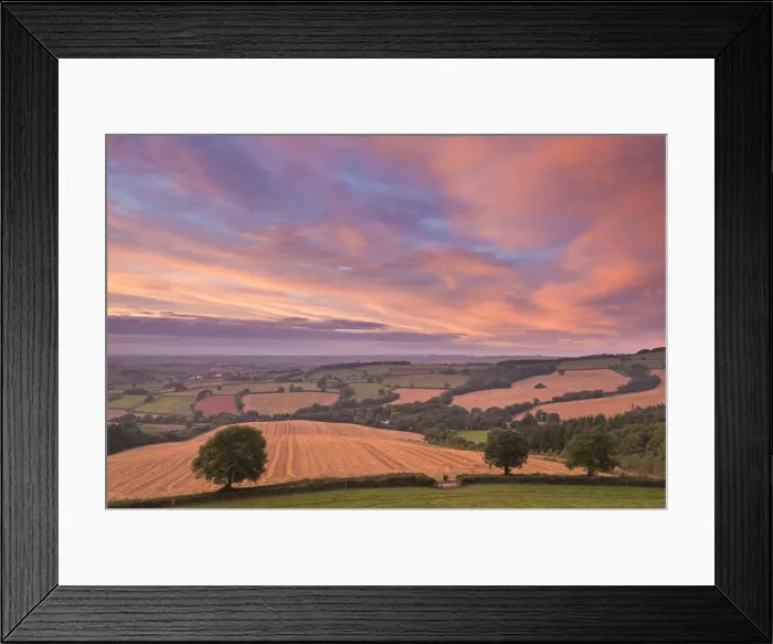 Framed Print : Spectacular sunset above rolling Devon countryside, Stockleigh Pomeroy, Devon, England