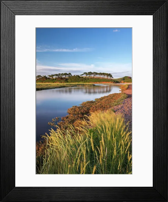 Framed Print : Otter Estuary at Budleigh Salterton, Devon, England. Summer (July) Framed Print : Otter Estuary at Budleigh Salterton, Devon, England. Summer (July)