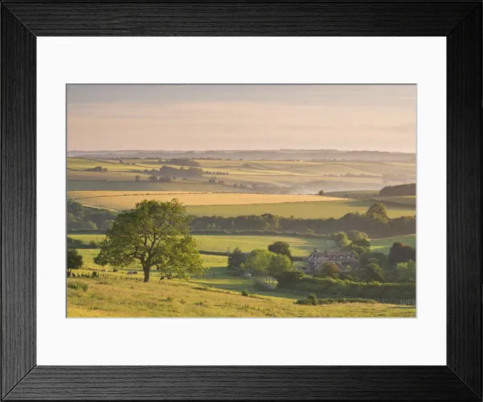 Framed Print : Rolling countryside and thatched cottage near Frome, Somerset, England. Summer (June) Framed Print : Rolling countryside and thatched cottage near Frome, Somerset, England. Summer (June)