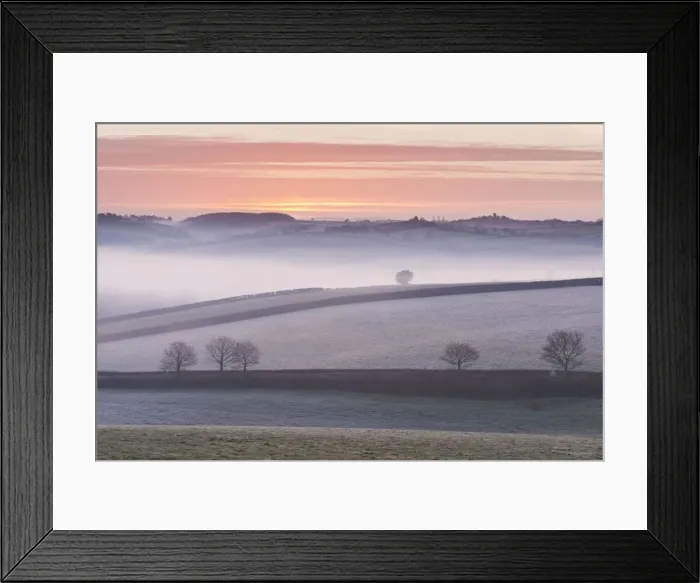 Framed Print : Mist covered frosty countryside near Morchard Bishop, Devon, England. Winter (March) Framed Print : Mist covered frosty countryside near Morchard Bishop, Devon, England. Winter (March)
