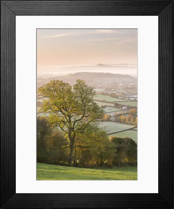 Framed Print : Glastonbury Tor at dawn from the Mendips, Somerset, England Framed Print : Glastonbury Tor at dawn from the Mendips, Somerset, England