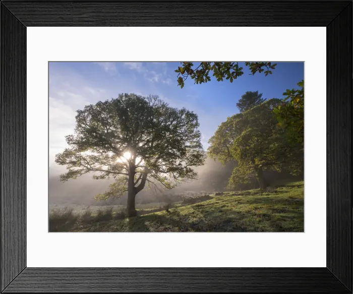 Framed Print : Morning sunshine burning through mist, Lake District, Cumbria, England. Autumn (November) Framed Print : Morning sunshine burning through mist, Lake District, Cumbria, England. Autumn (November)