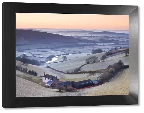 Frost coated countryside and farm buildings at sunrise, Exe Valley, Devon, England